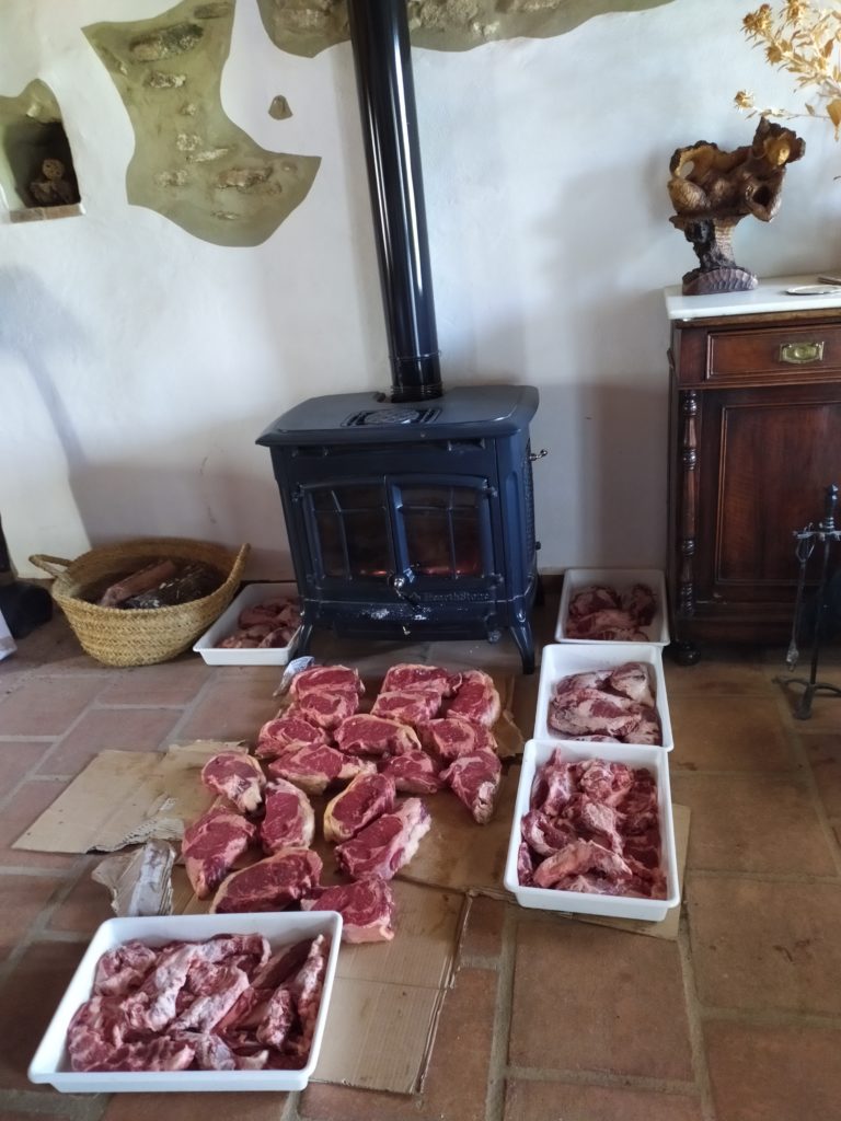 Atemperado de las carnes duelistas: vaca pinta y rubio dorado.